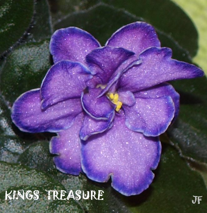 kings treasure 28.5.2013 199